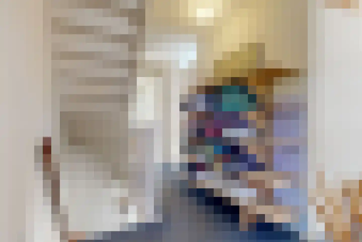 Sperwer 14 Tollebeek thumbnail 13