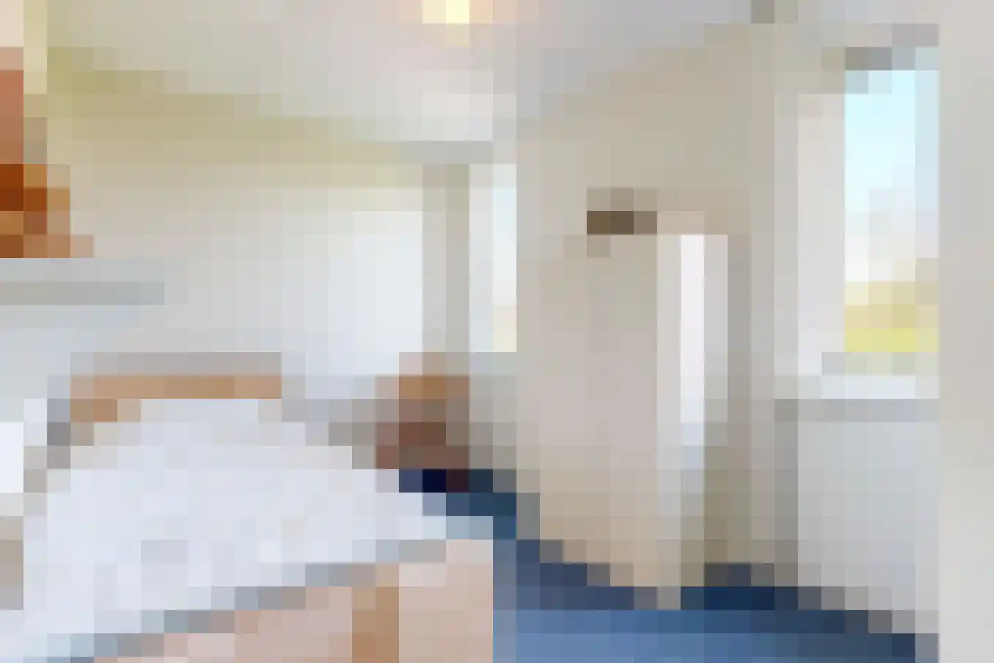 Sperwer 14 Tollebeek thumbnail 16