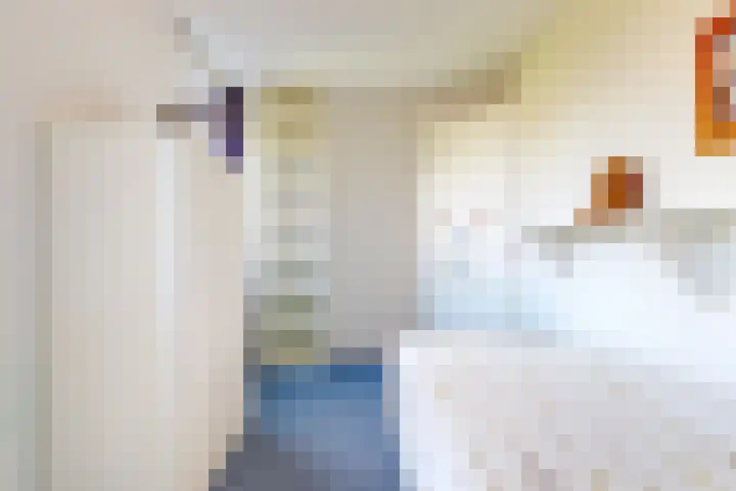 Sperwer 14 Tollebeek thumbnail 17