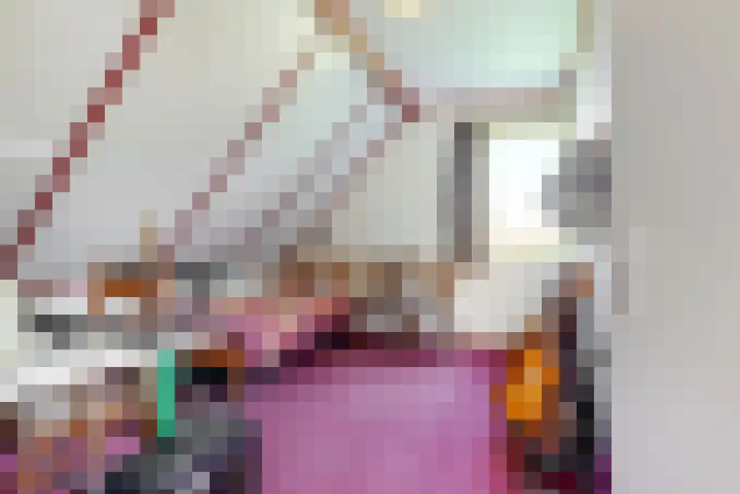 Sperwer 14 Tollebeek thumbnail 25