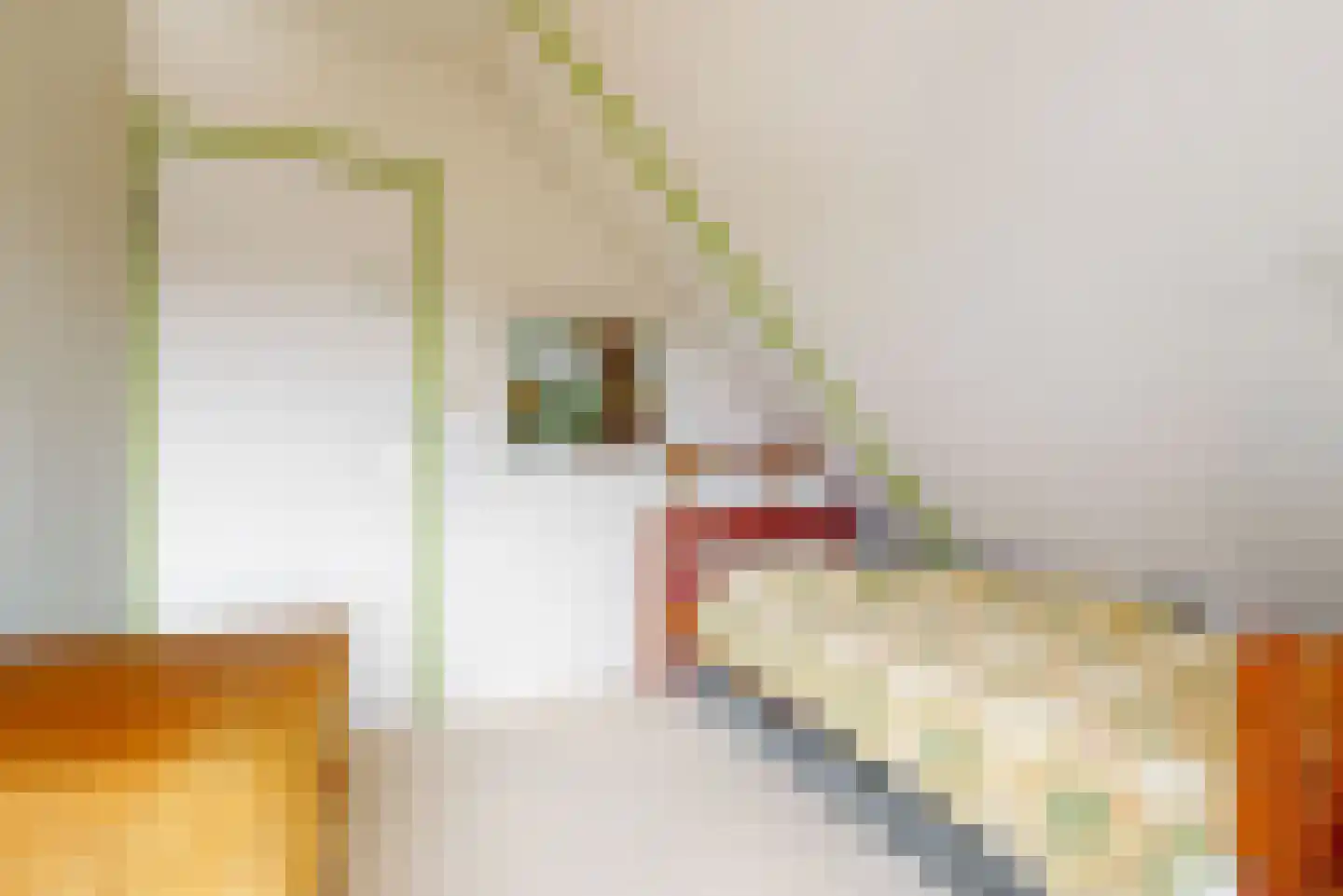 Sperwer 14 Tollebeek thumbnail 27