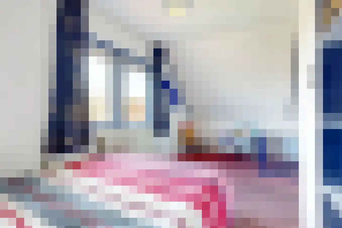 Sperwer 14 Tollebeek thumbnail 28