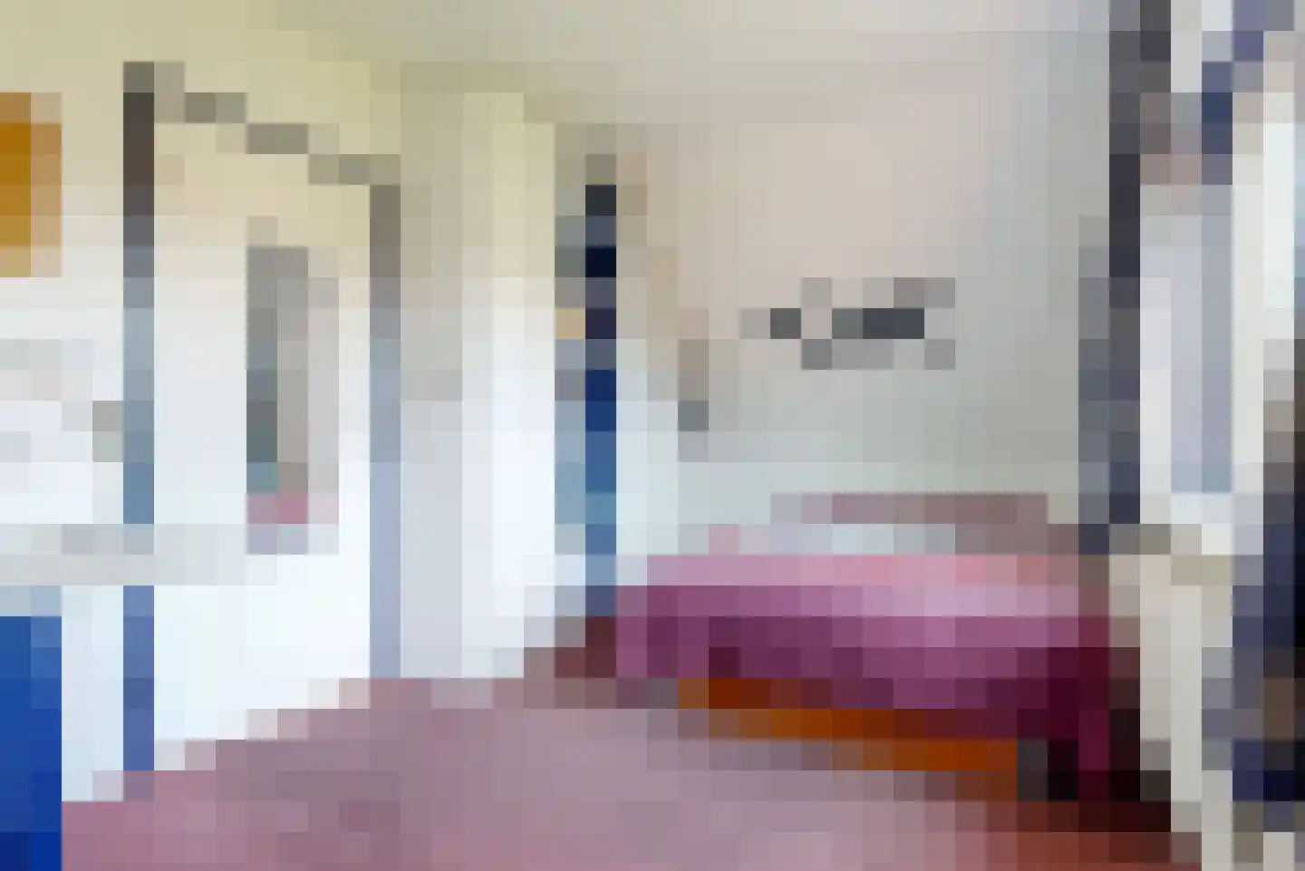 Sperwer 14 Tollebeek thumbnail 29