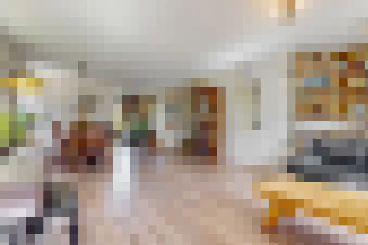 Sperwer 14 Tollebeek thumbnail 5