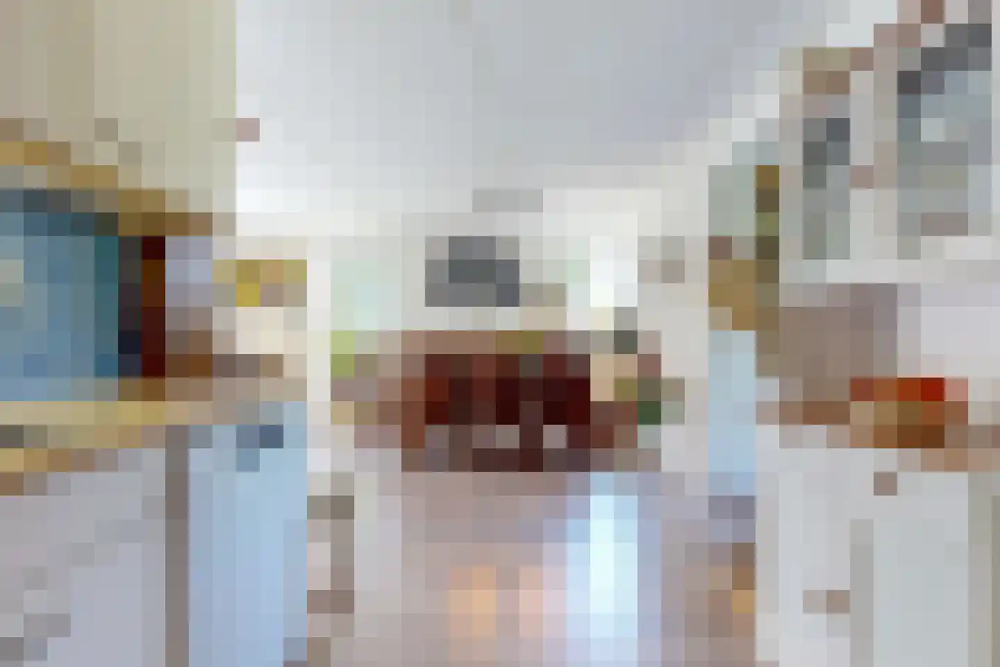 Sperwer 14 Tollebeek thumbnail 8