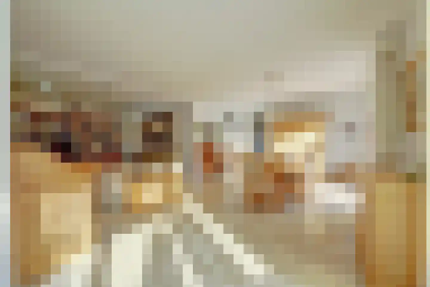 Sperwer 15 Zuid-Scharwoude thumbnail 14