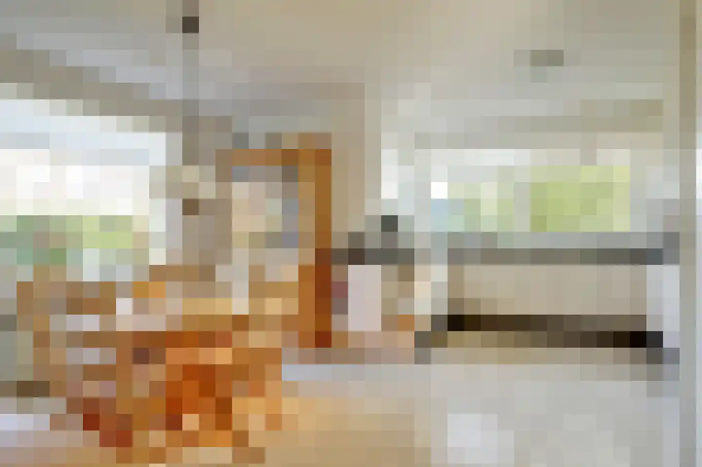 Sperwer 15 Zuid-Scharwoude thumbnail 17