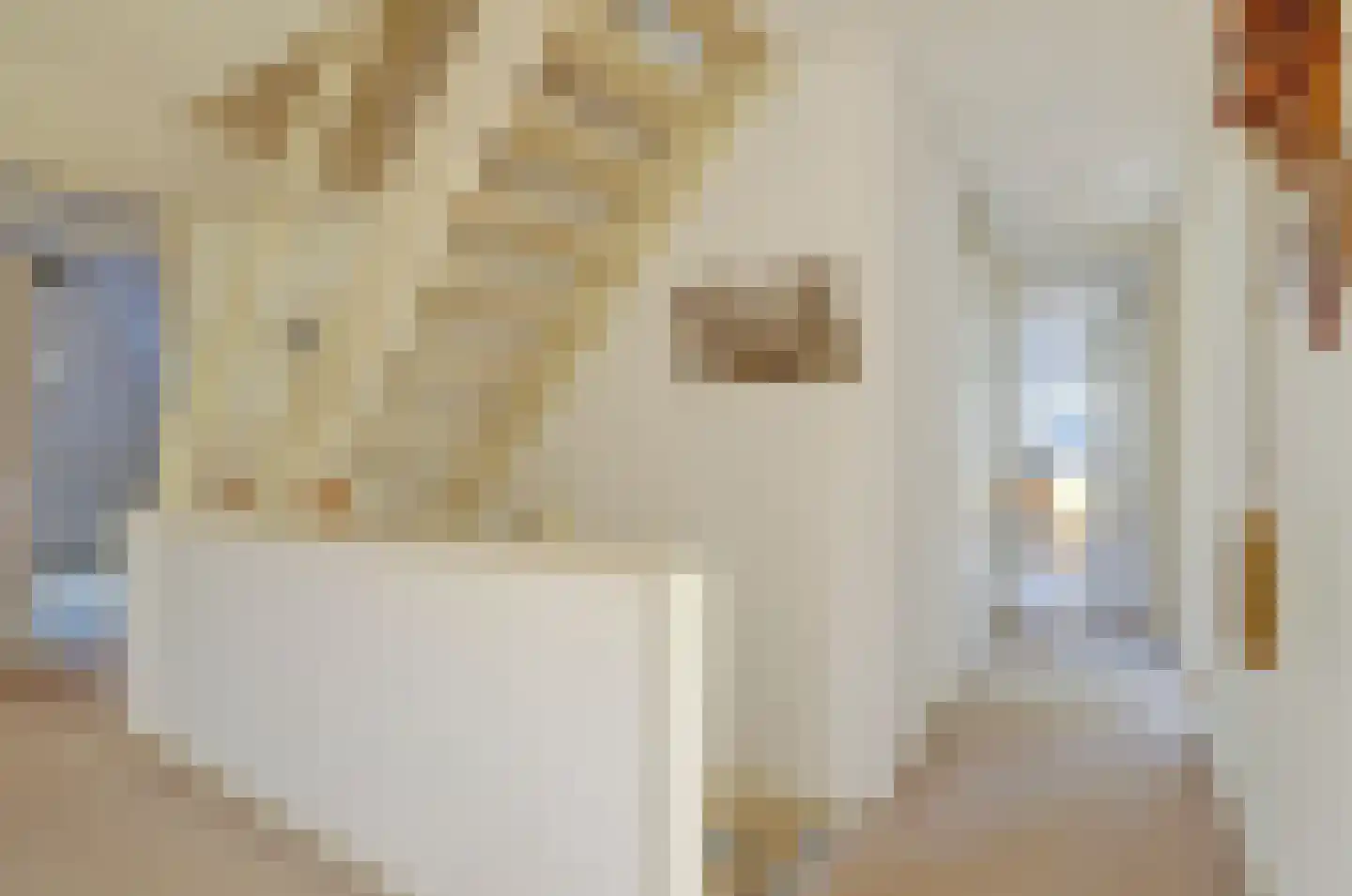 Sperwer 15 Zuid-Scharwoude thumbnail 25