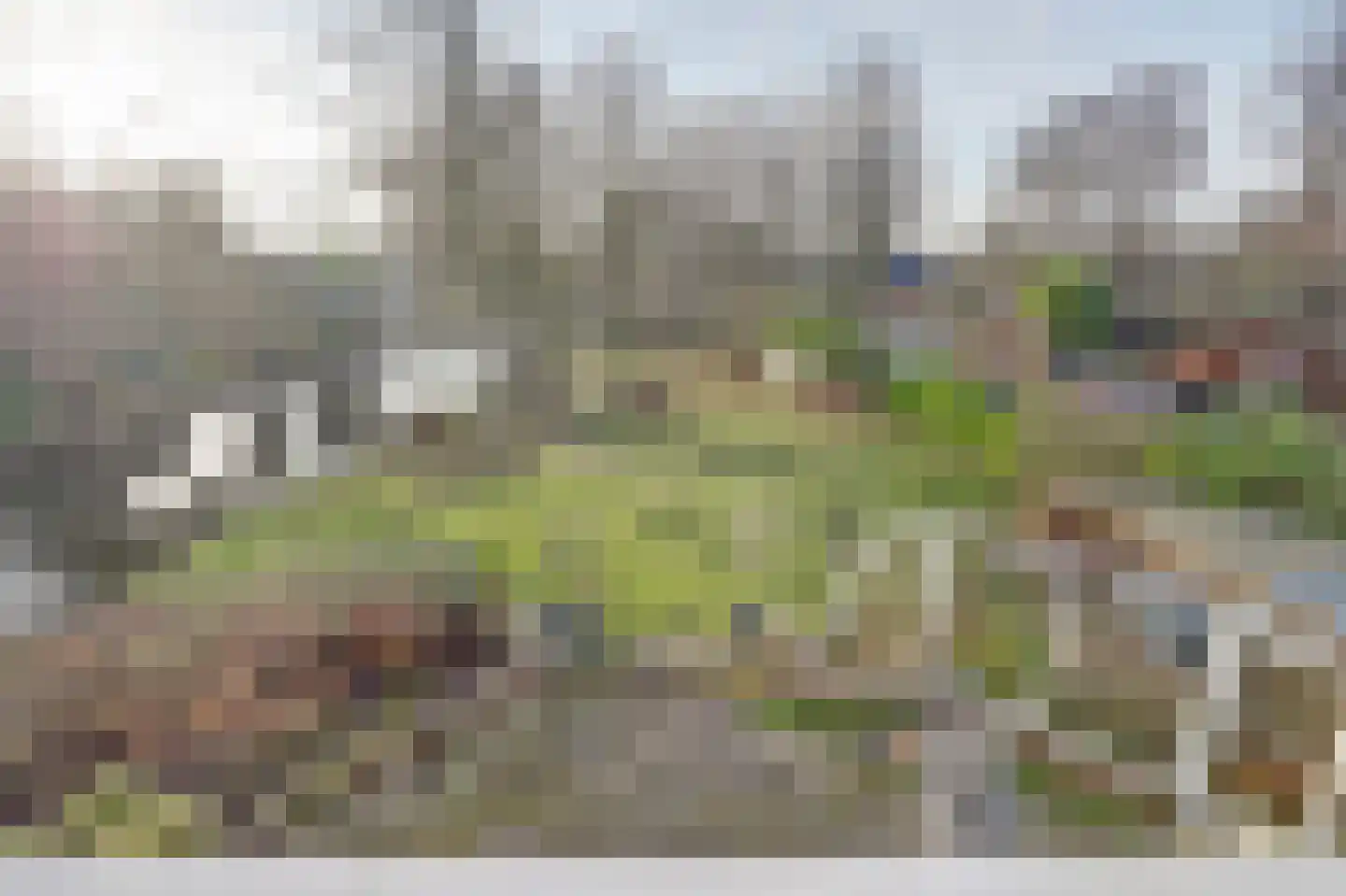 Sperwer 15 Zuid-Scharwoude thumbnail 37