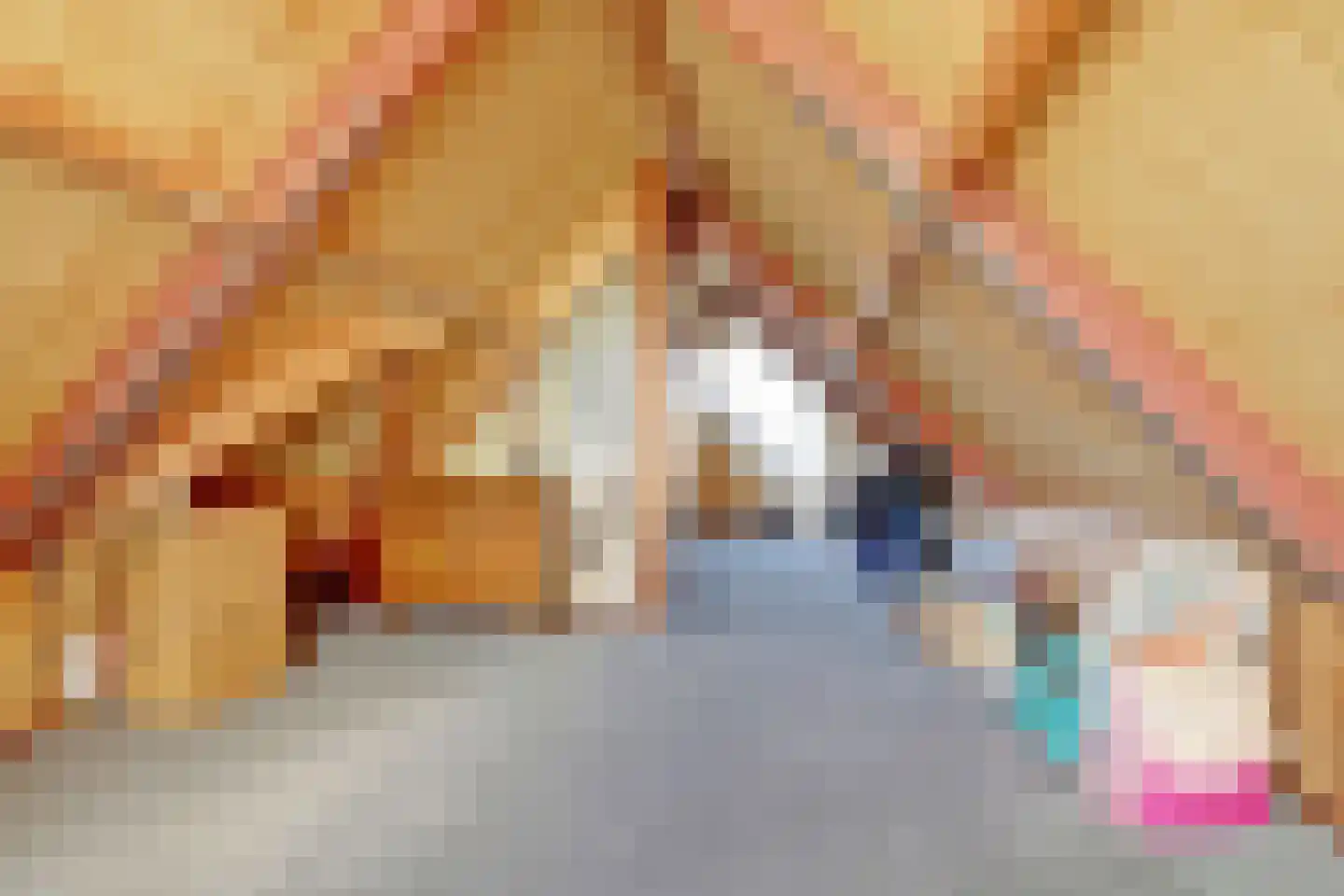 Sperwer 15 Zuid-Scharwoude thumbnail 48