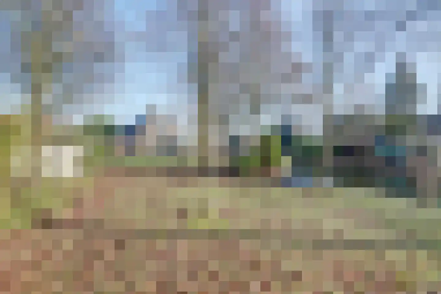 Sperwer 15 Zuid-Scharwoude thumbnail 51