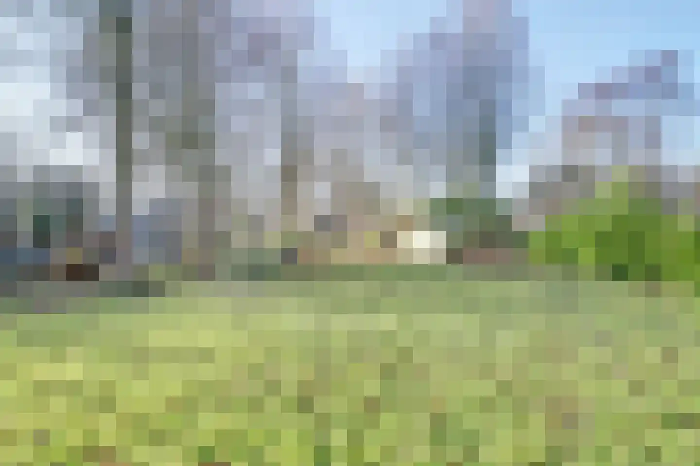 Sperwer 15 Zuid-Scharwoude thumbnail 53