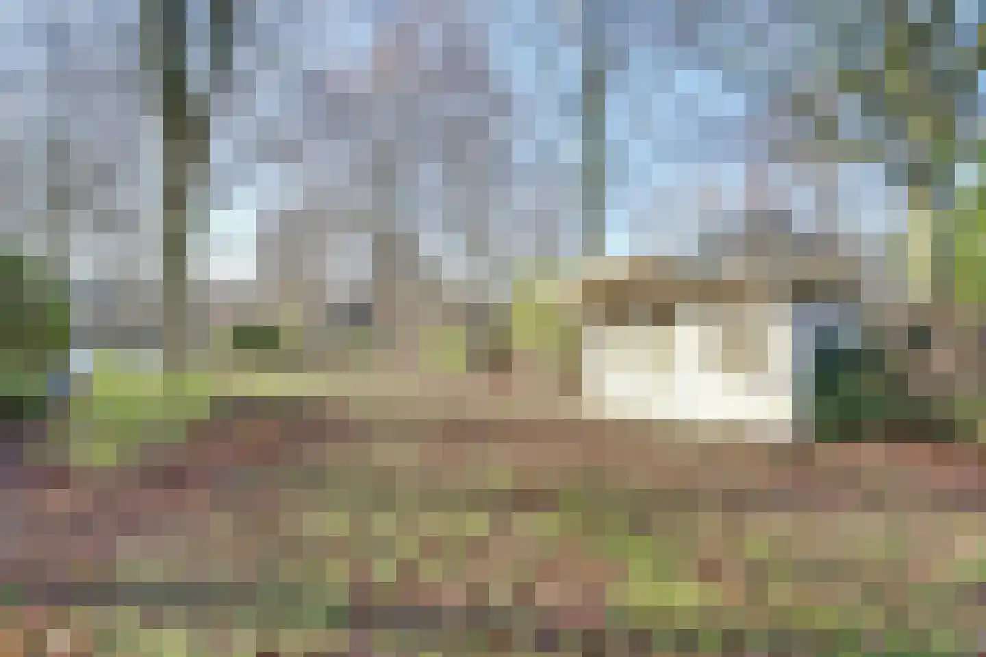 Sperwer 15 Zuid-Scharwoude thumbnail 54