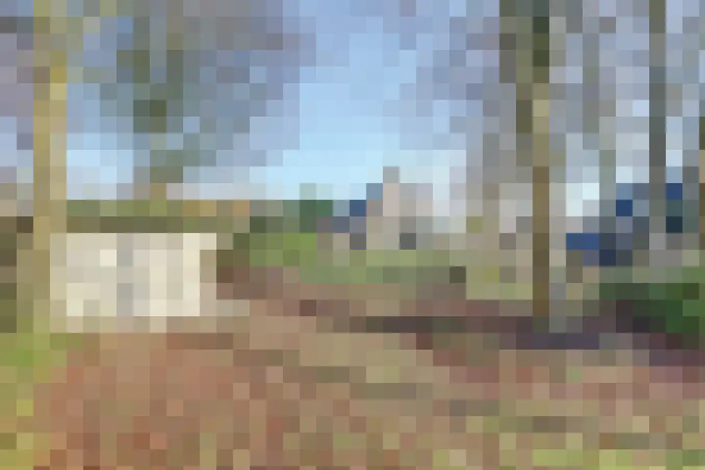 Sperwer 15 Zuid-Scharwoude thumbnail 57