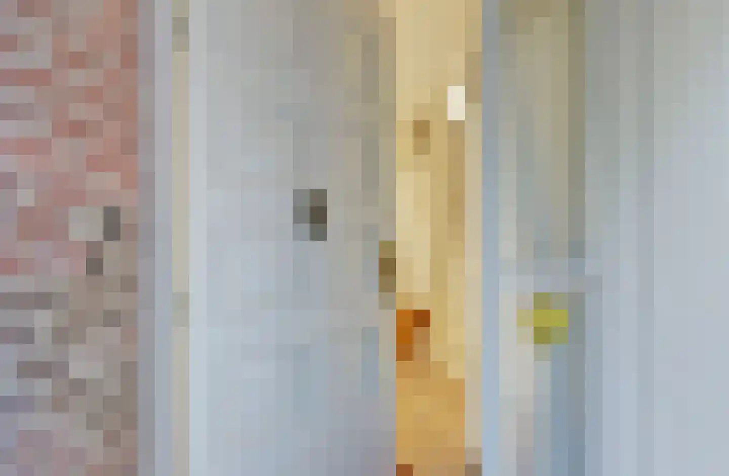 Sperwer 15 Zuid-Scharwoude thumbnail 6