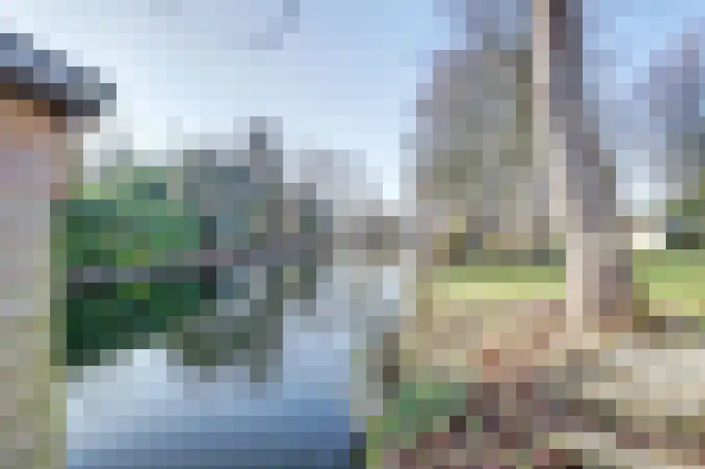 Sperwer 15 Zuid-Scharwoude thumbnail 62