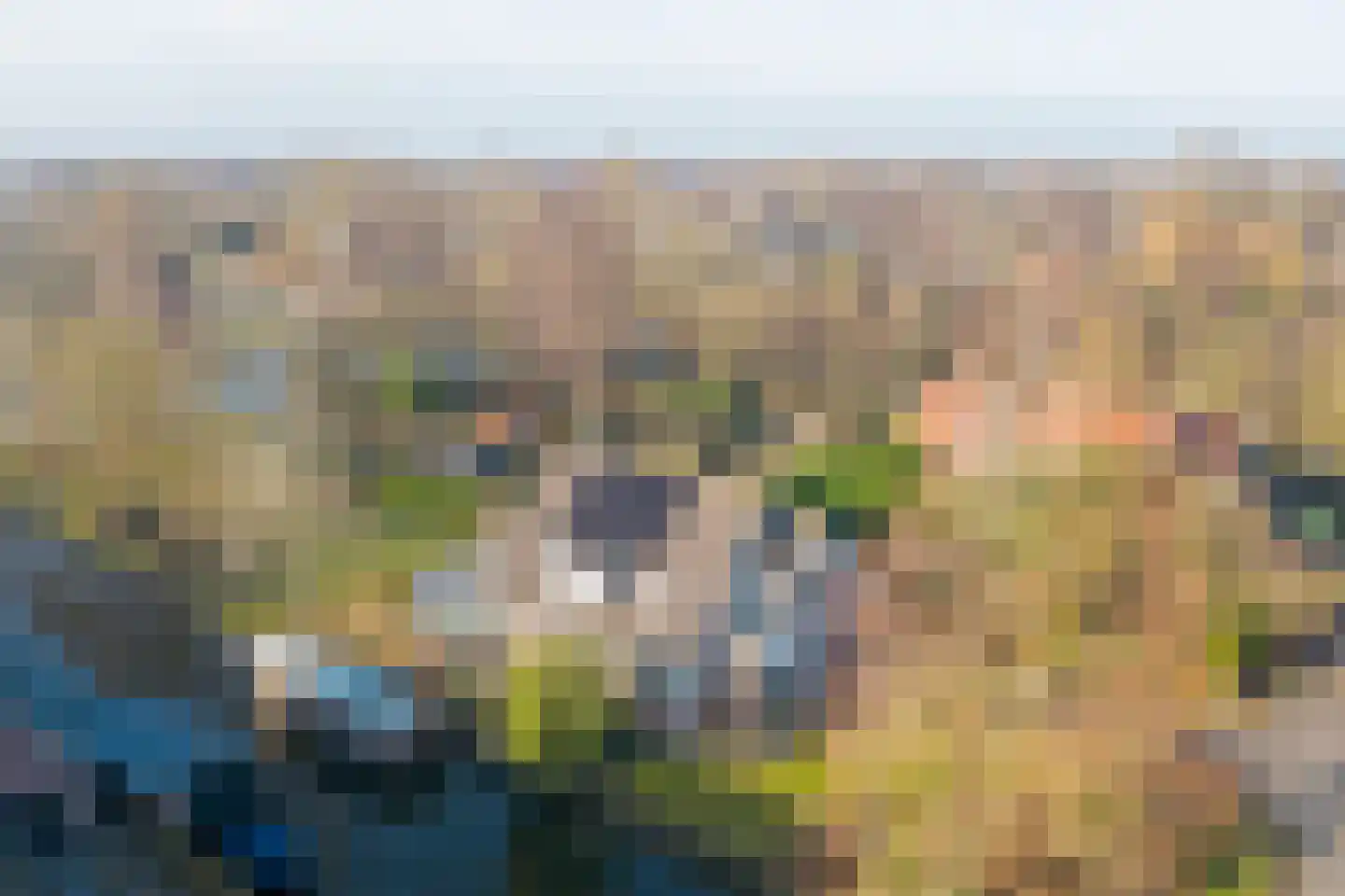 Sperwer 15 Zuid-Scharwoude thumbnail 64