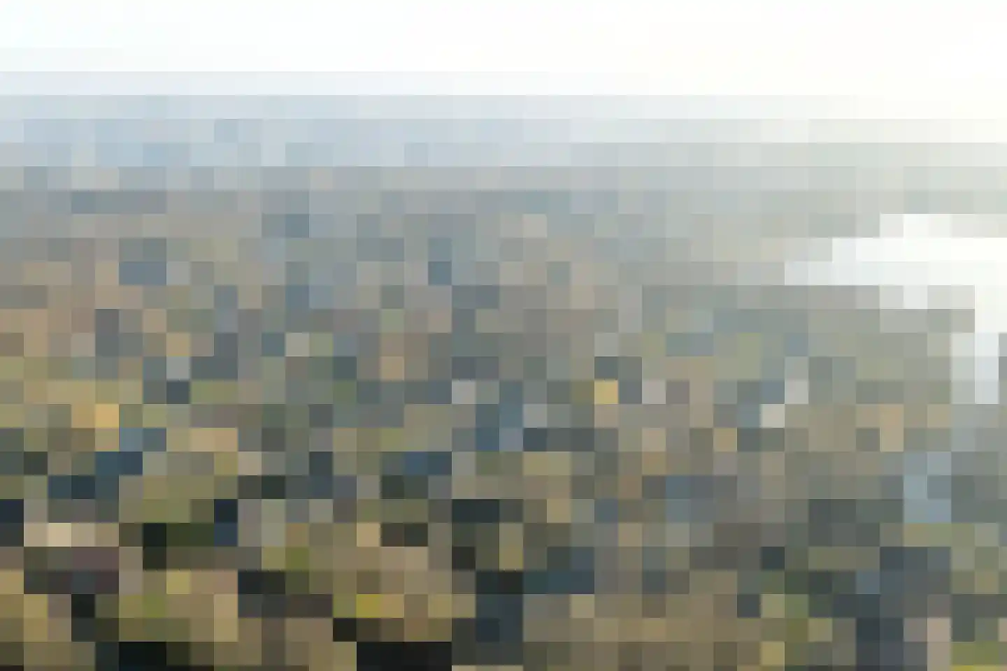 Sperwer 15 Zuid-Scharwoude thumbnail 66