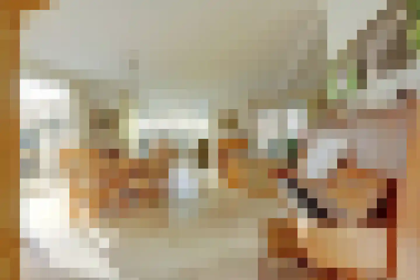 Sperwer 15 Zuid-Scharwoude thumbnail 8
