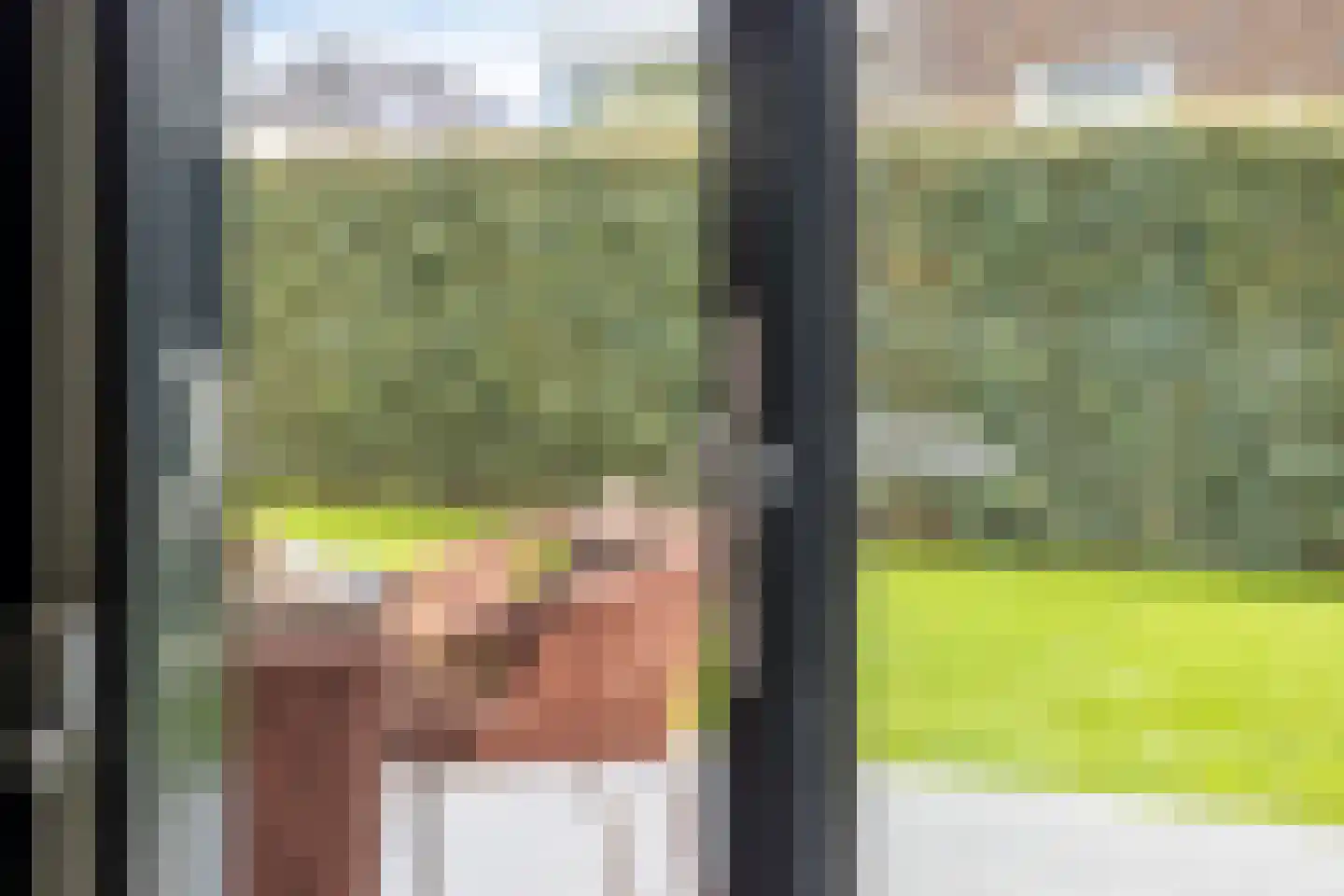 Sperwer 2 Lichtenvoorde thumbnail 16