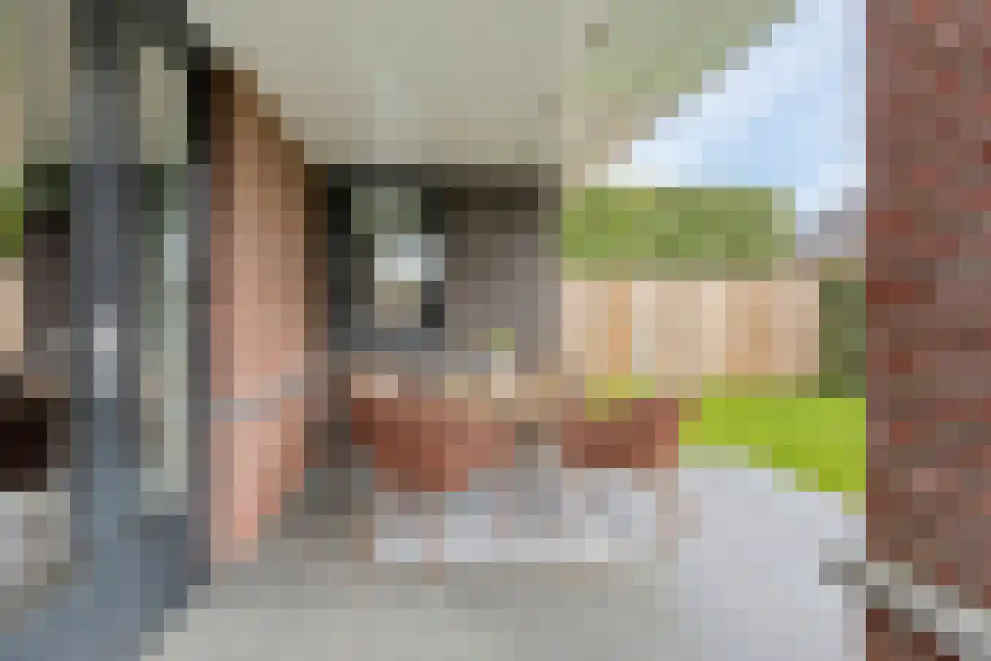 Sperwer 2 Lichtenvoorde thumbnail 17