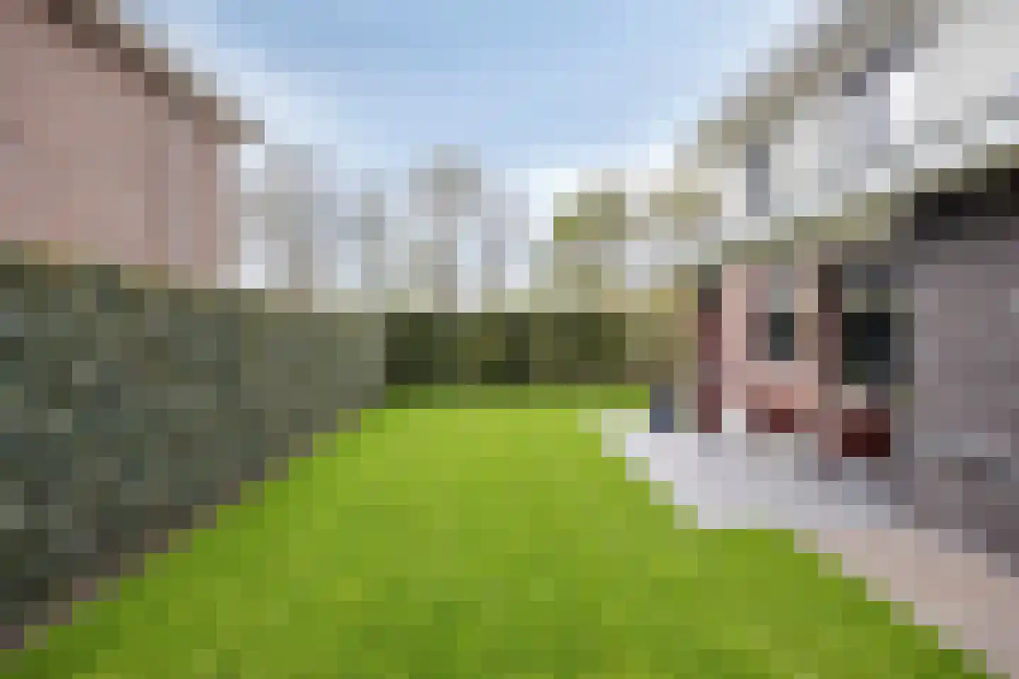 Sperwer 2 Lichtenvoorde thumbnail 19