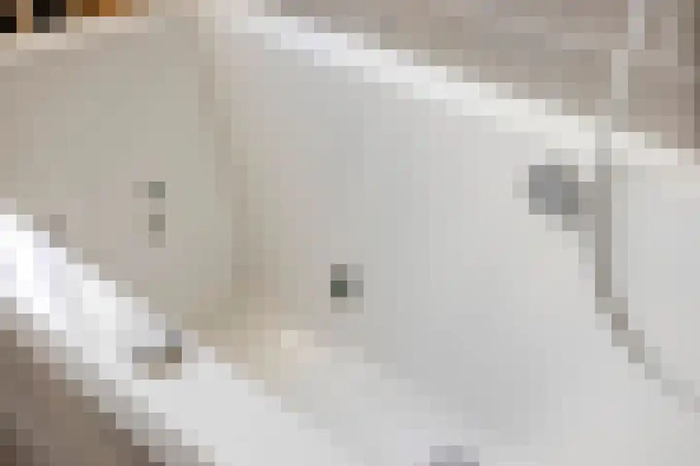 Sperwer 2 Lichtenvoorde thumbnail 29