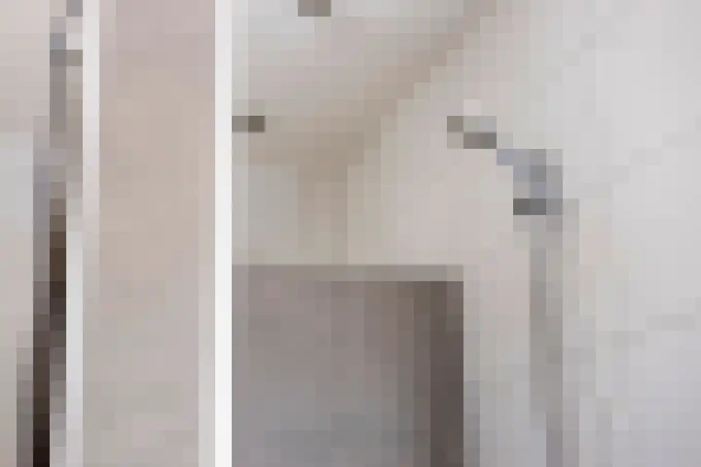 Sperwer 2 Lichtenvoorde thumbnail 30