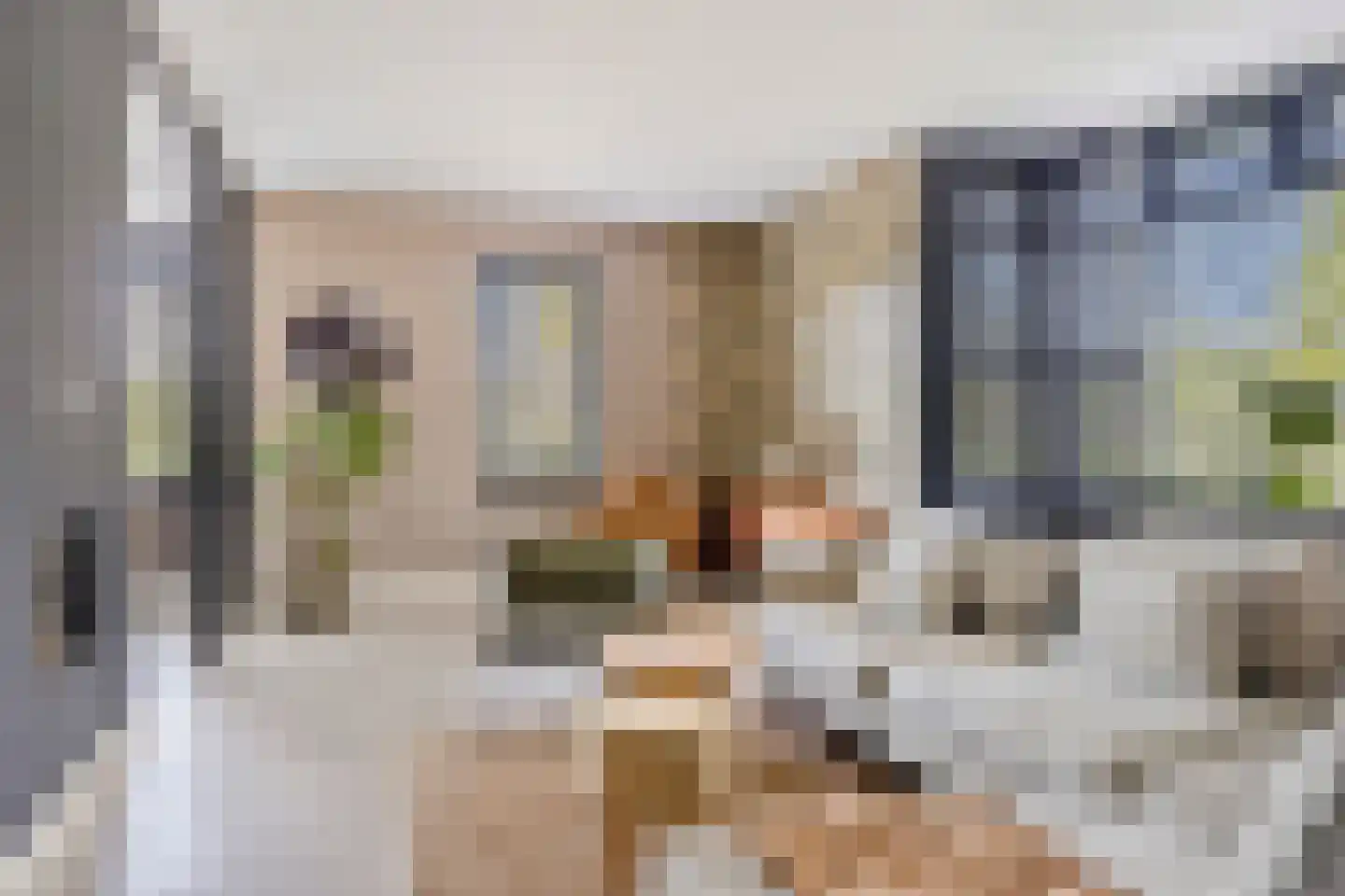Sperwer 2 Lichtenvoorde thumbnail 9