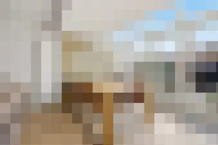 Sperwer 22 Etten-Leur thumbnail 10