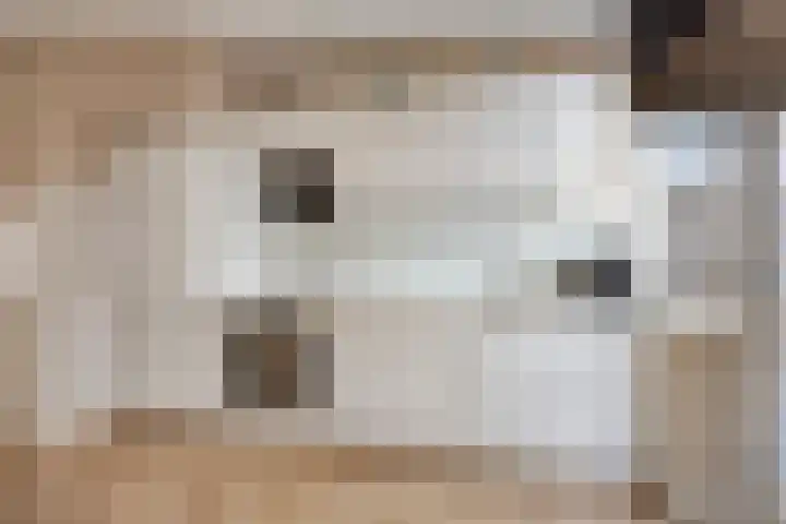 Sperwer 22 Etten-Leur thumbnail 14