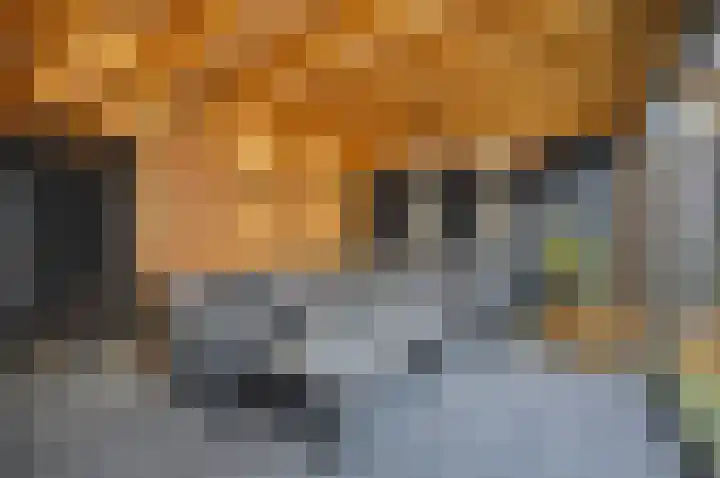 Sperwer 22 Etten-Leur thumbnail 19