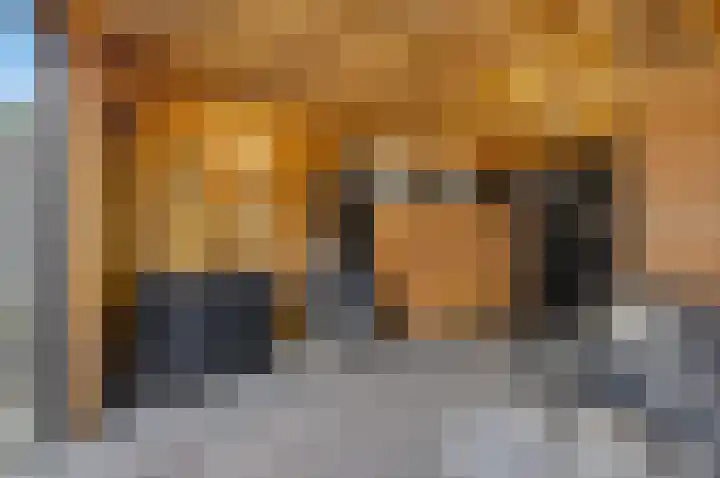 Sperwer 22 Etten-Leur thumbnail 21