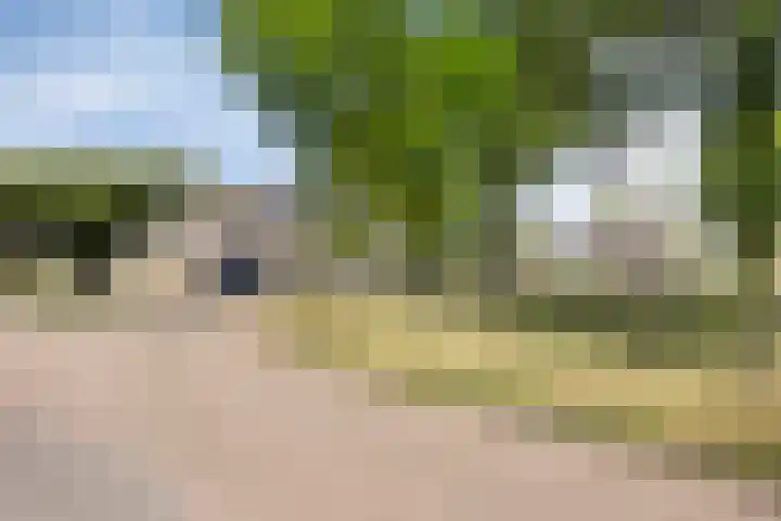 Sperwer 28 Veldhoven thumbnail 29
