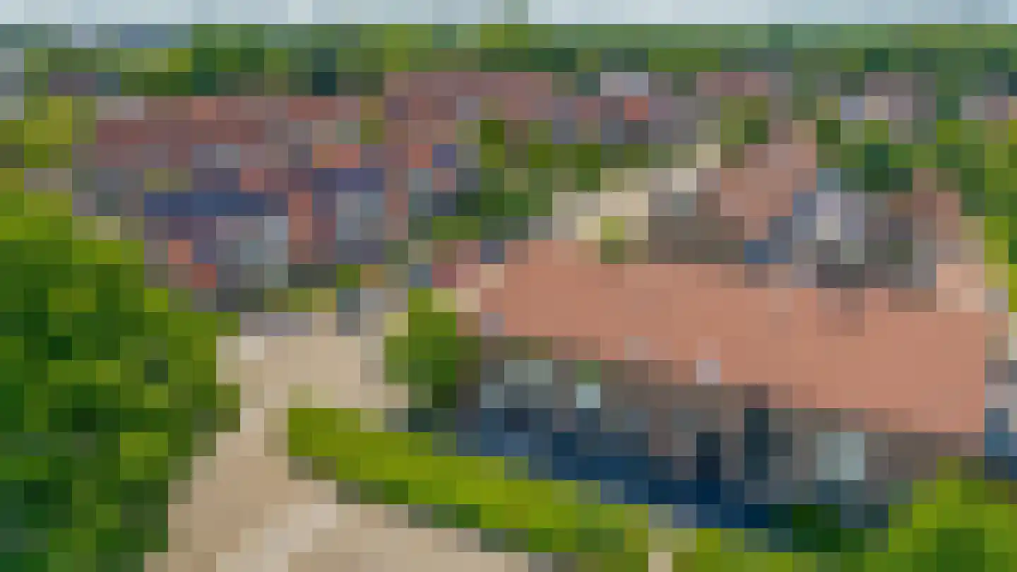 Sperwer 40 Sommelsdijk thumbnail 31