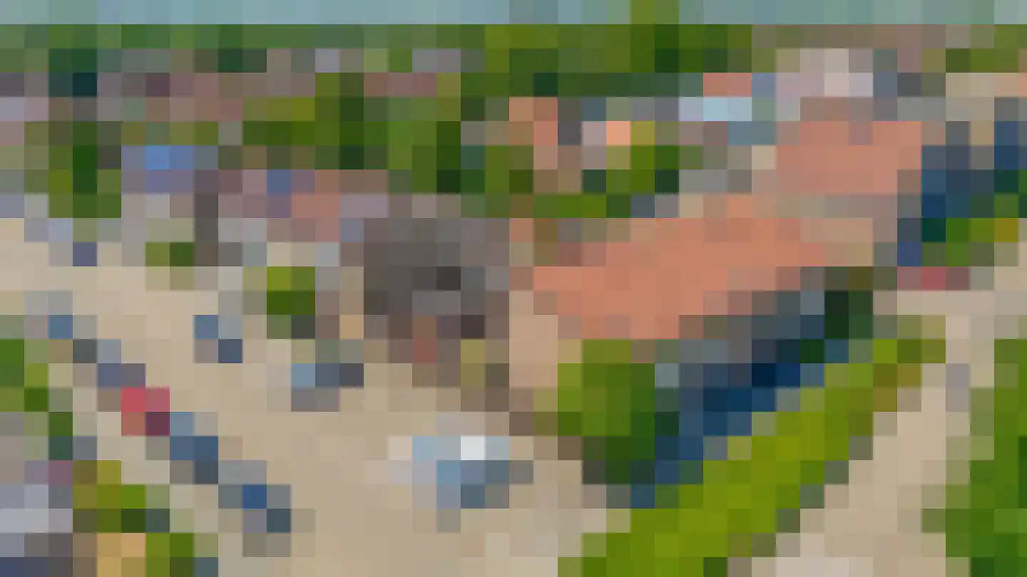 Sperwer 40 Sommelsdijk thumbnail 32