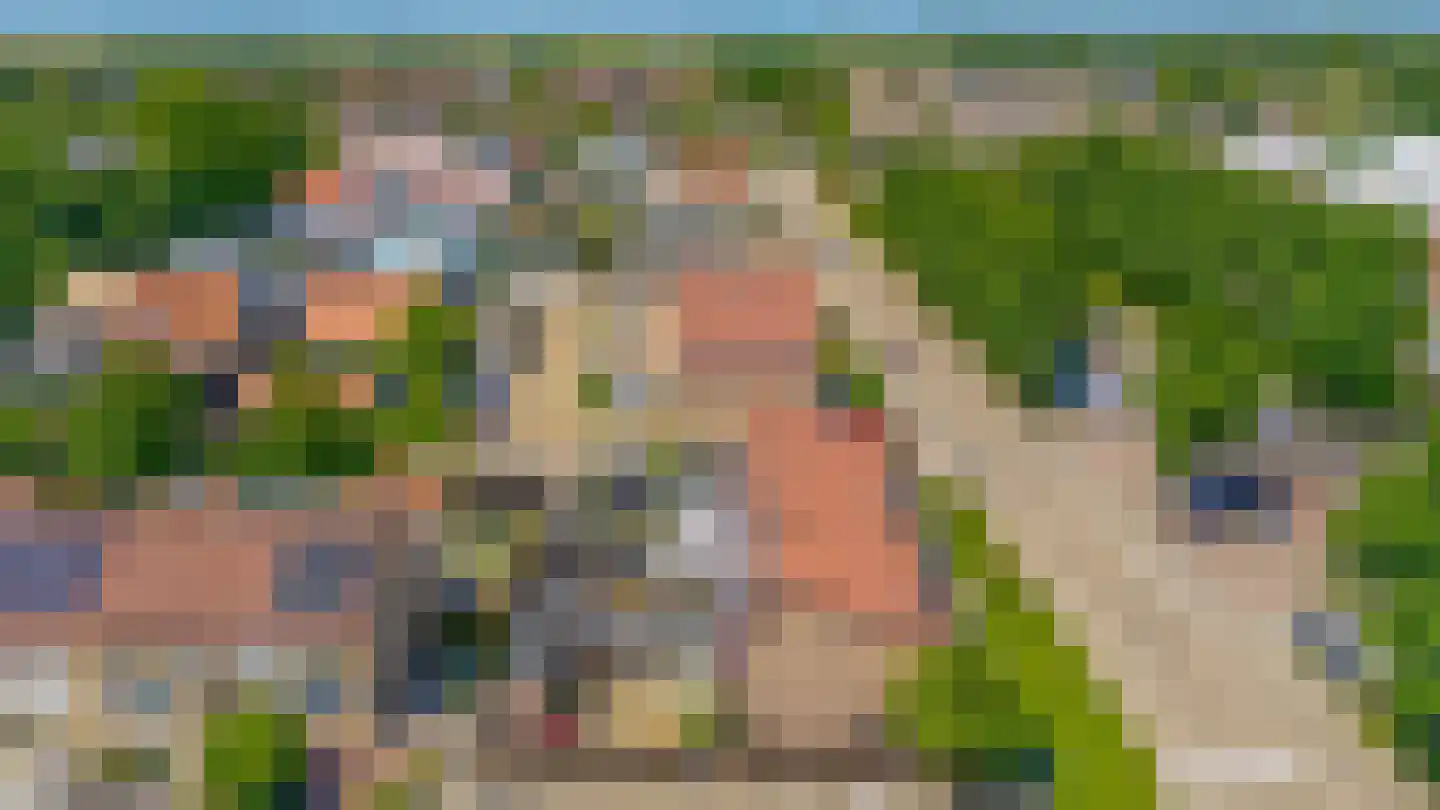 Sperwer 40 Sommelsdijk thumbnail 33