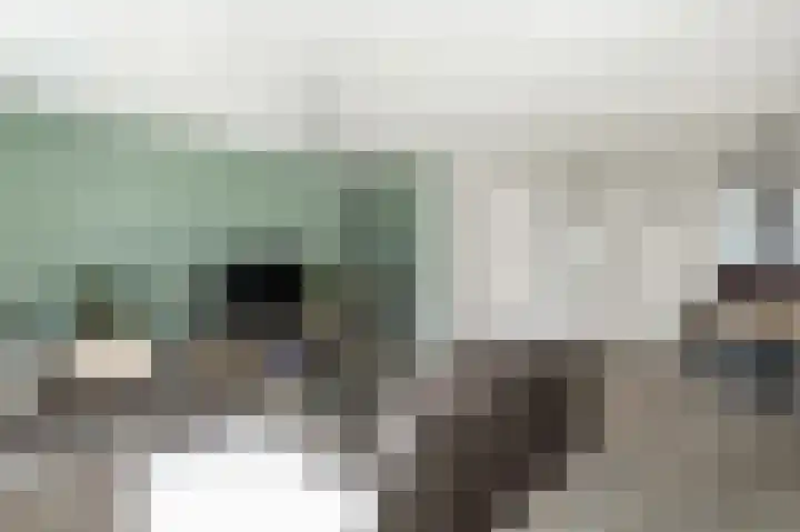 Sperwer 42 Sommelsdijk thumbnail 10