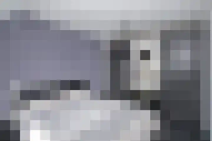 Sperwer 42 Sommelsdijk thumbnail 20