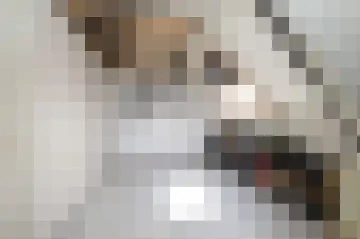 Sperwer 42 Sommelsdijk thumbnail 27