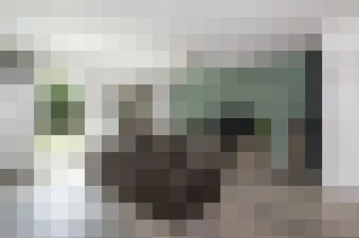 Sperwer 42 Sommelsdijk thumbnail 4