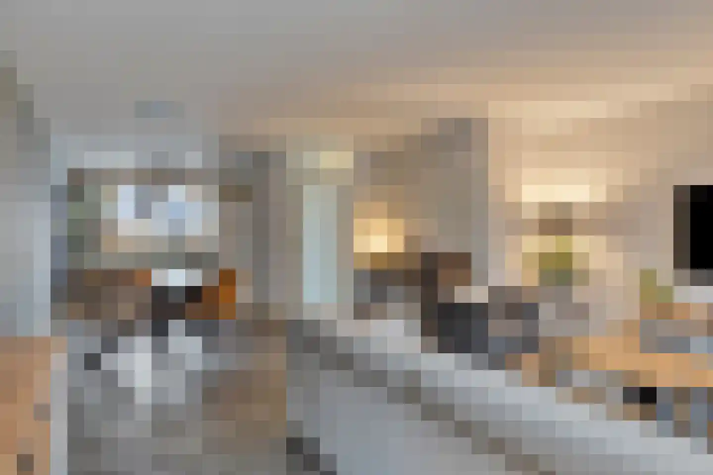 Sperwer 44 Sommelsdijk thumbnail 12
