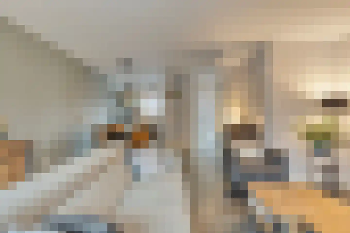 Sperwer 44 Sommelsdijk thumbnail 13