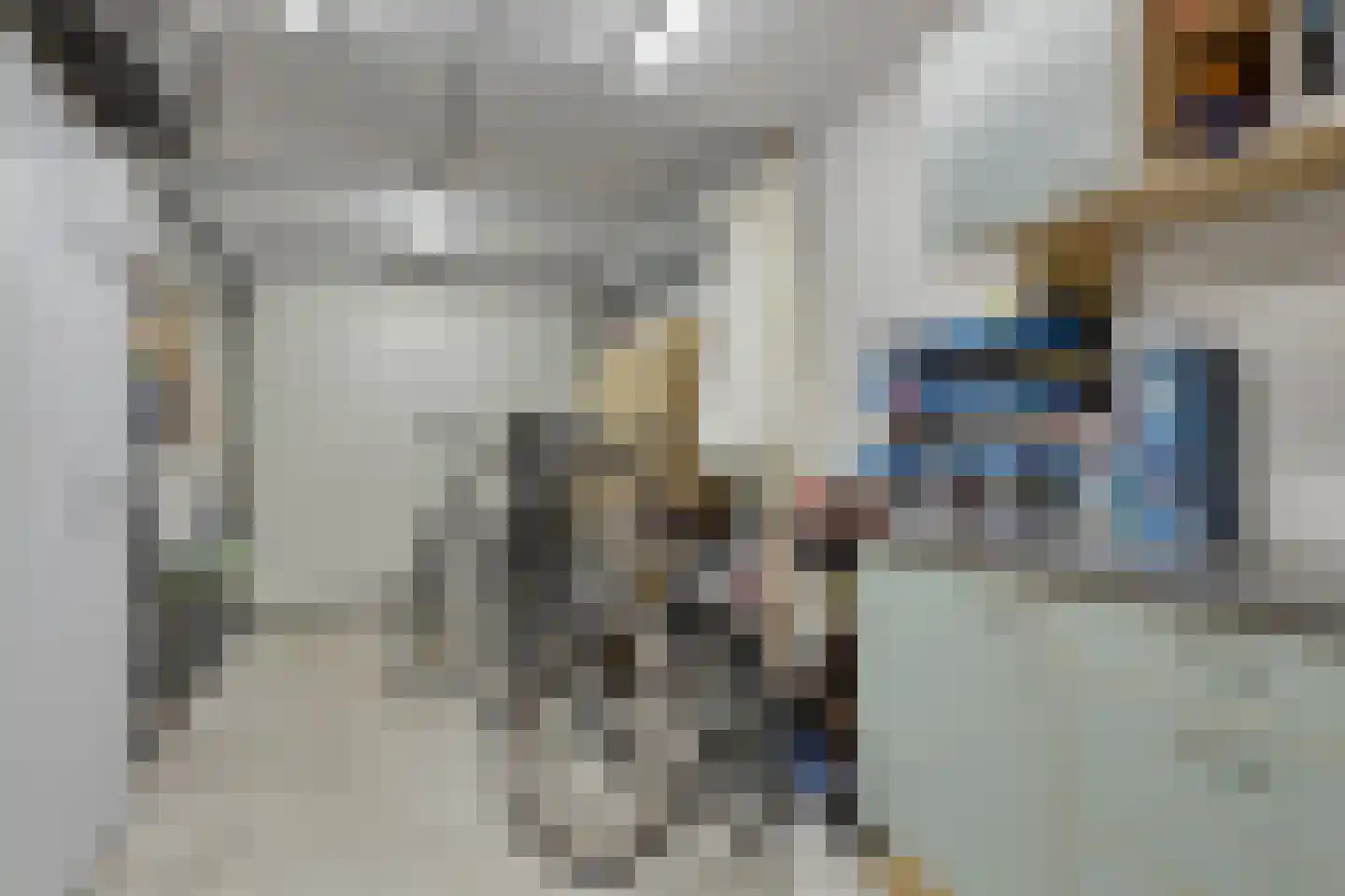 Sperwer 44 Sommelsdijk thumbnail 17