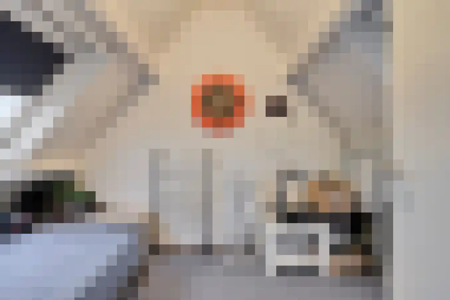 Sperwer 44 Sommelsdijk thumbnail 30