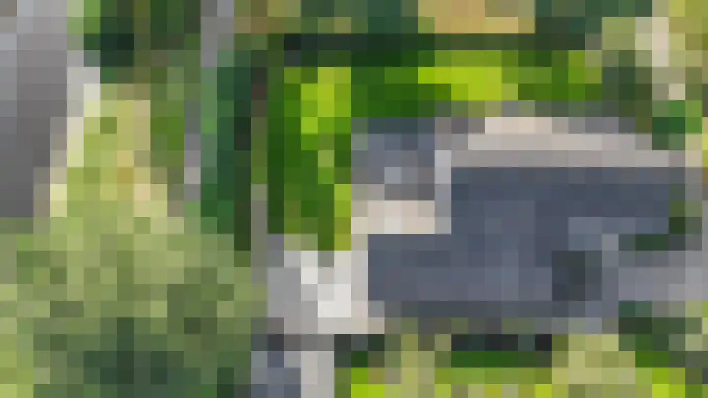 Sperwer 48 Staphorst thumbnail 44