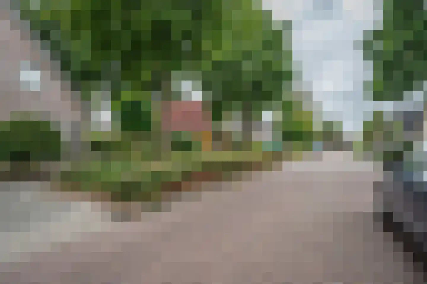Sperwer 48 Staphorst thumbnail 6