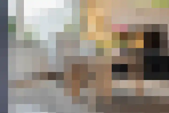 Sperwer 57 Ommen thumbnail 12