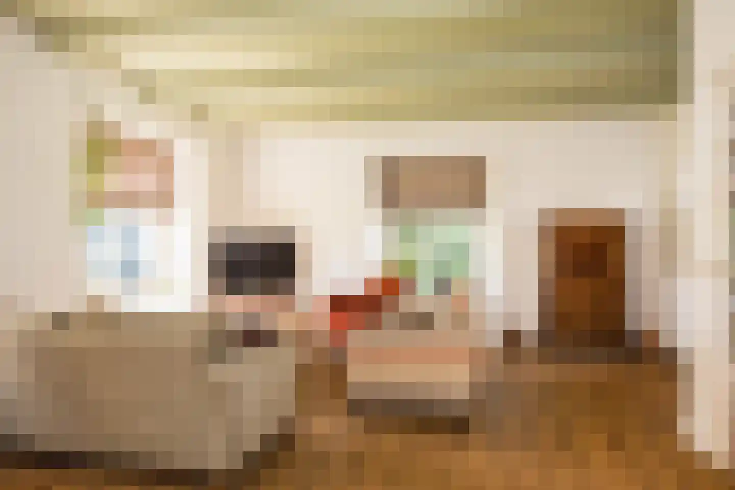 Sperwer 57 Ommen thumbnail 13