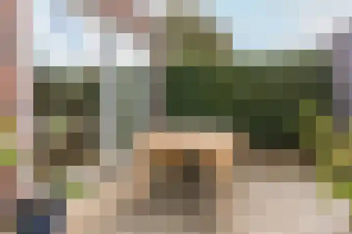 Sperwer 57 Ommen thumbnail 21